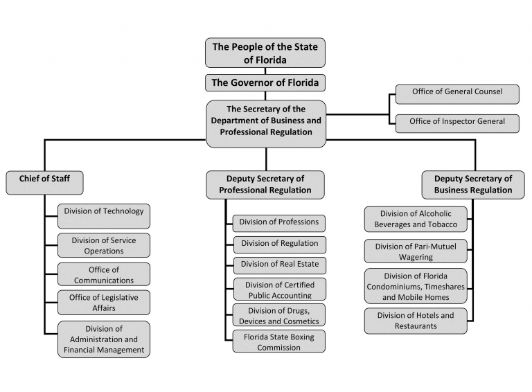 Topic 3.1: The Department of Business and Professional Regulation (DBPR